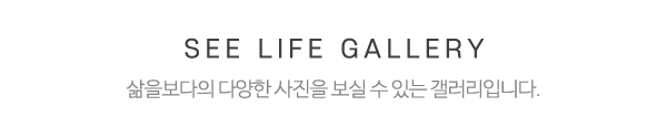 삶을보다_갤러리_제목